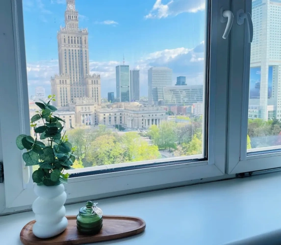 Economy Studio