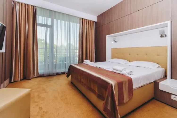 1 Bedroom Standard Double room with balcony