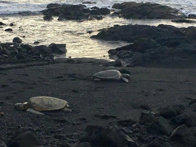 Mauna Kai'iki