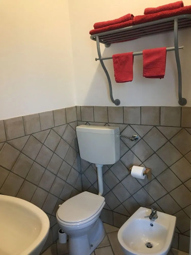 B&B polepole
