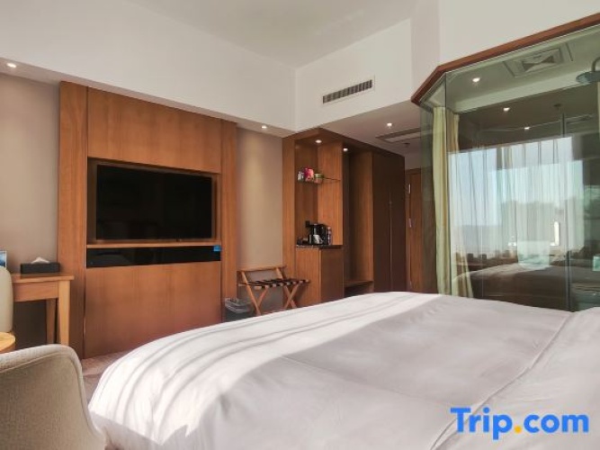 Executive Single room