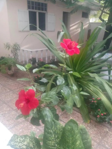 Résidence Tichani Club