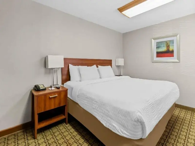 Standard Double Suite