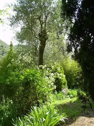 In centro - Mutino