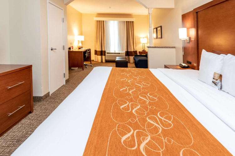Comfort Suites near Texas Medical Center – NRG Stadium photo 7