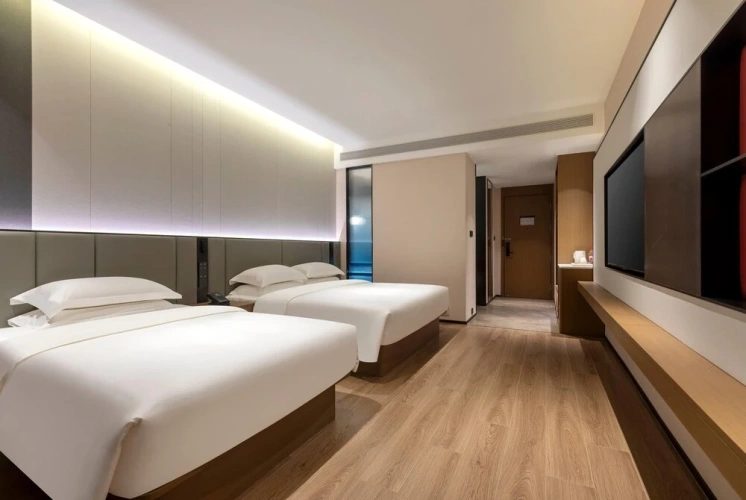 Superior Twin room with city view