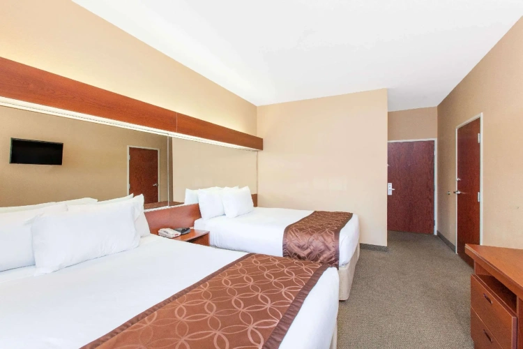 2 Bedrooms Quadruple Suite