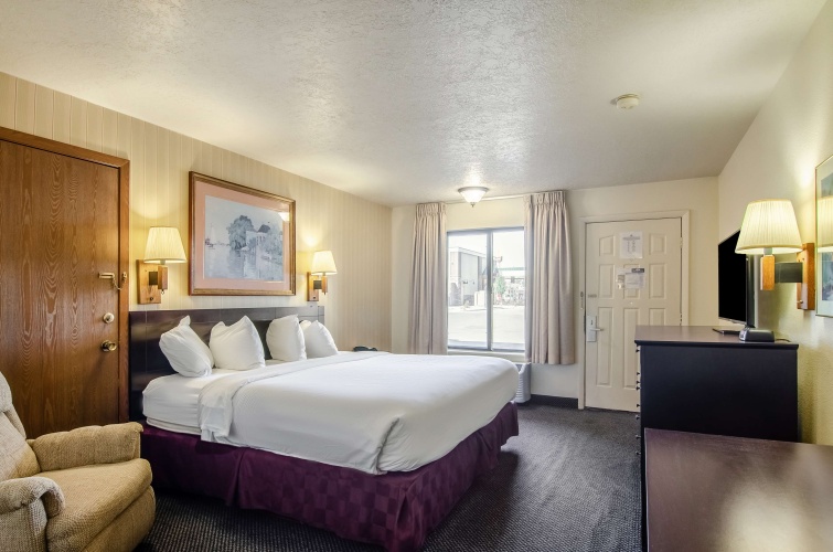 Pet Double room
