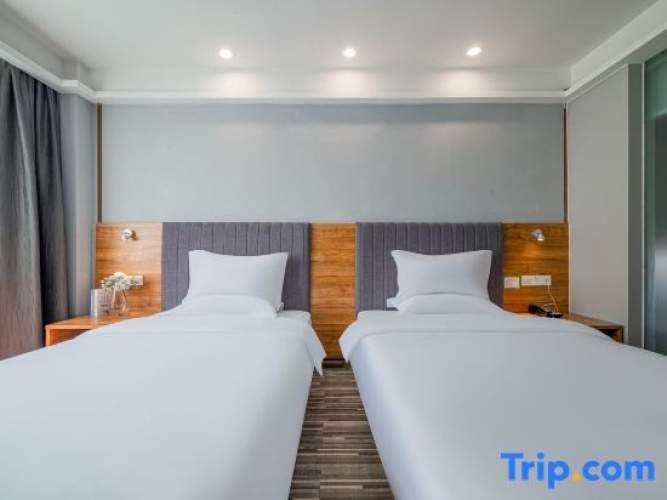 Standard Double room with city view