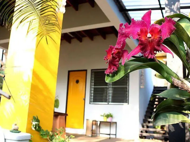 Garden Room Hostel