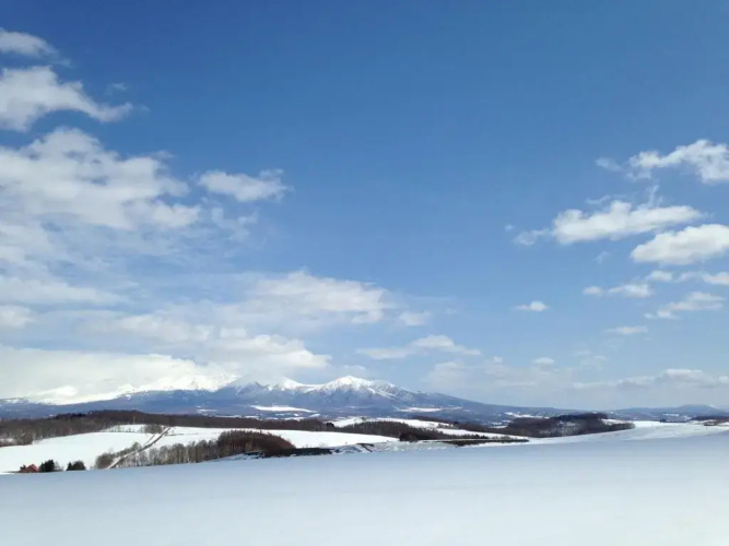 Furano Hops Tohas Hotel