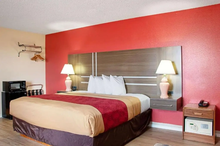 Deluxe Double Basement room