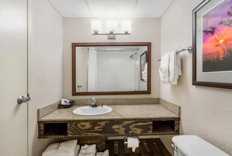 Standard room with ocean view