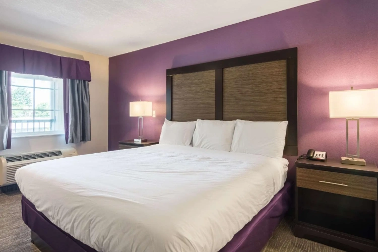Single Suite