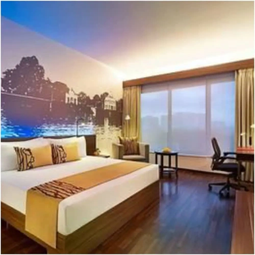 Deluxe Single room with city view