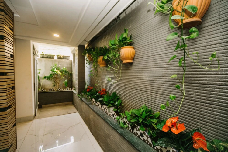 Palm Apartment