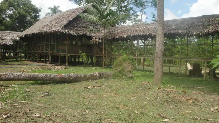 Amazon King Lodge