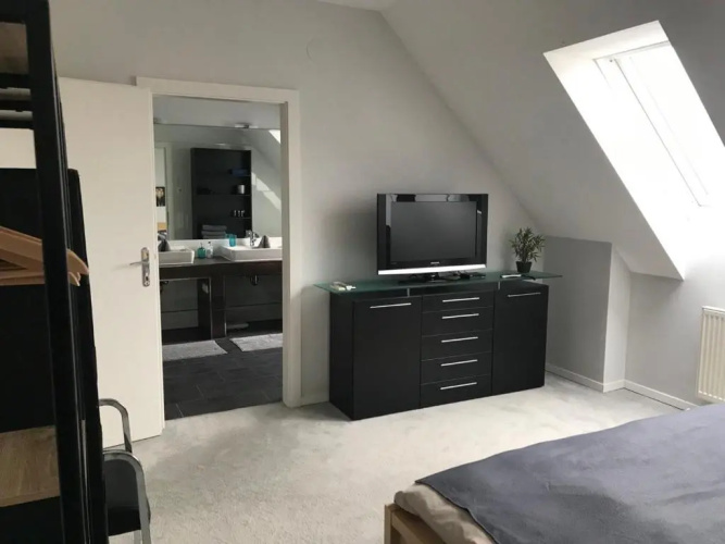 Apartment Zebra