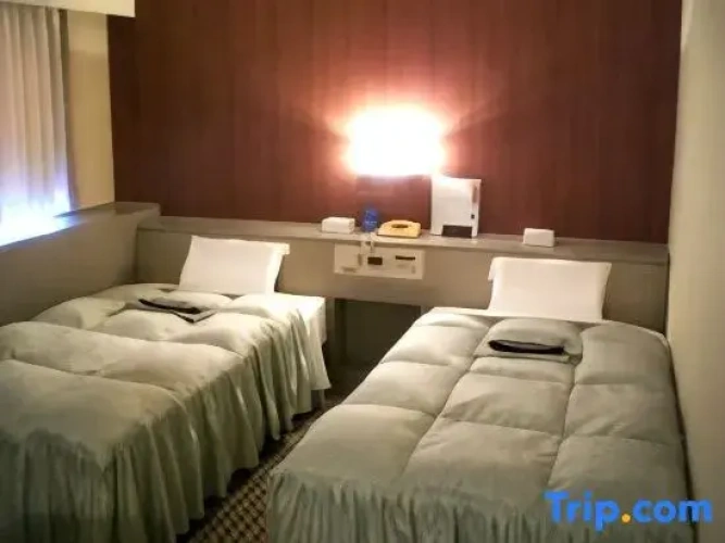 Standard Triple room with city view