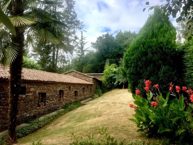 Comfort Double room with garden view