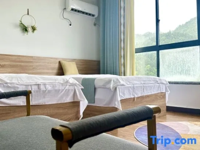 Standard Twin room with view