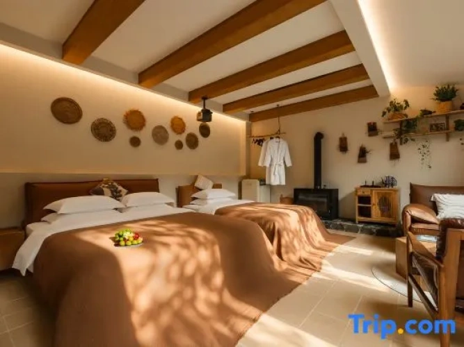 Standard Twin Family room