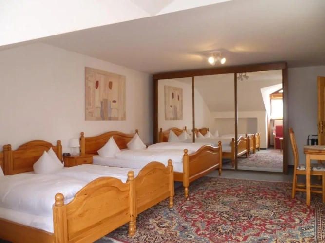 Standard Double room with balcony and with view