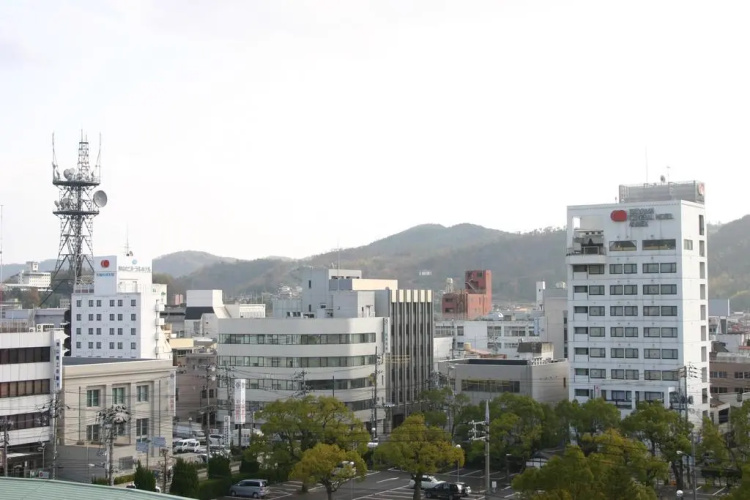 Tsuyama Central Hotel Annex