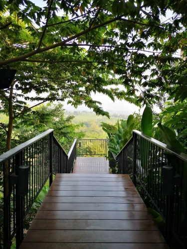 1 Bedroom Luxury Suite with balcony and with land view