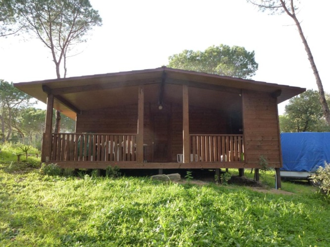 Family Bungalow