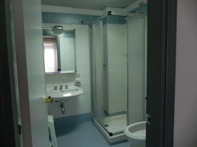 Standard Triple Basement room