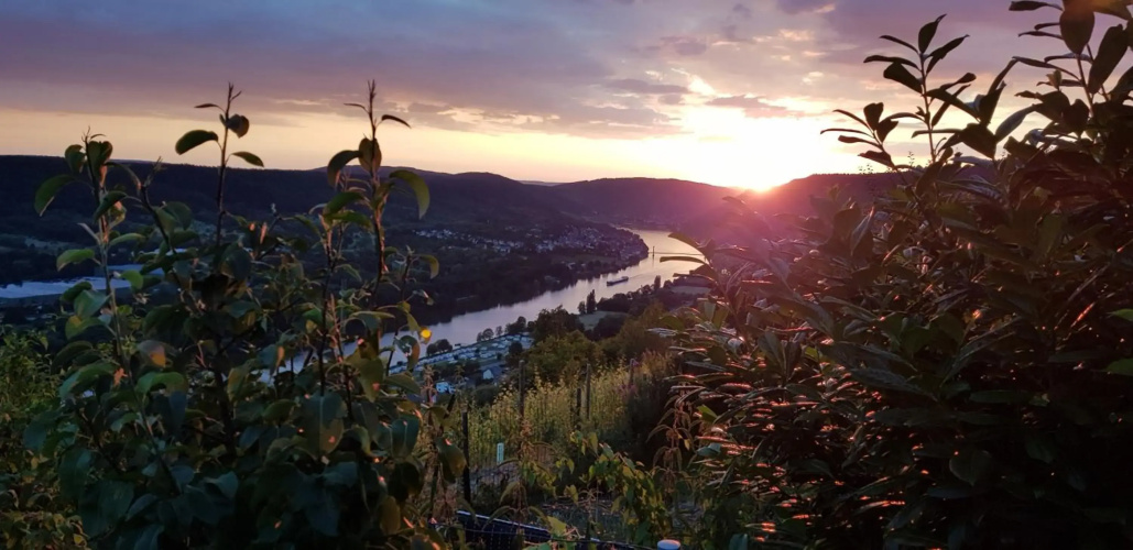 Apartment an der Mosel