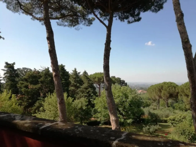Standard Double room with balcony and with sea view