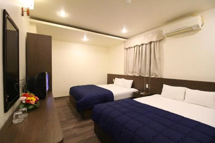 Standard Double room with balcony and with sea view