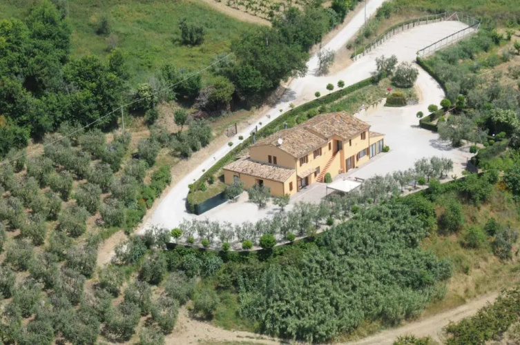 Acquarello