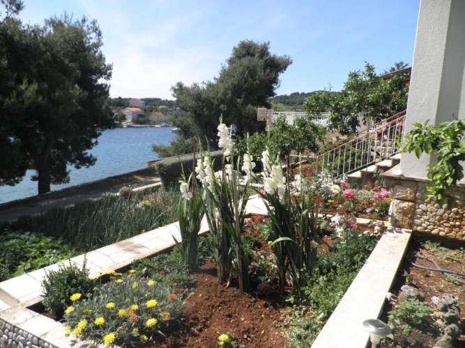 2 Bedrooms Basement Apartment with sea view