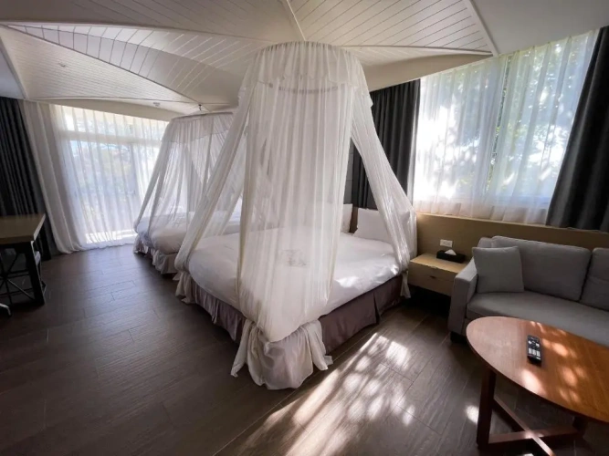 Deluxe Double room with view