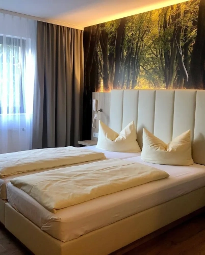 Comfort Single room
