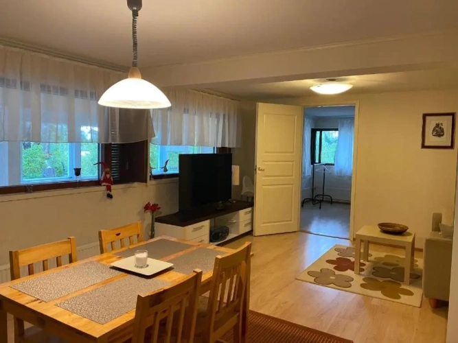1 Bedroom Apartment