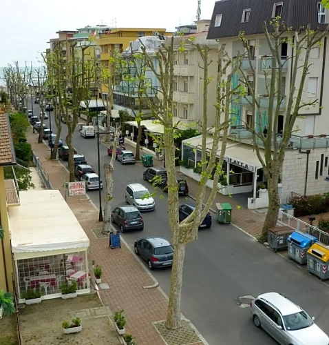 Standard Double room with balcony and with view