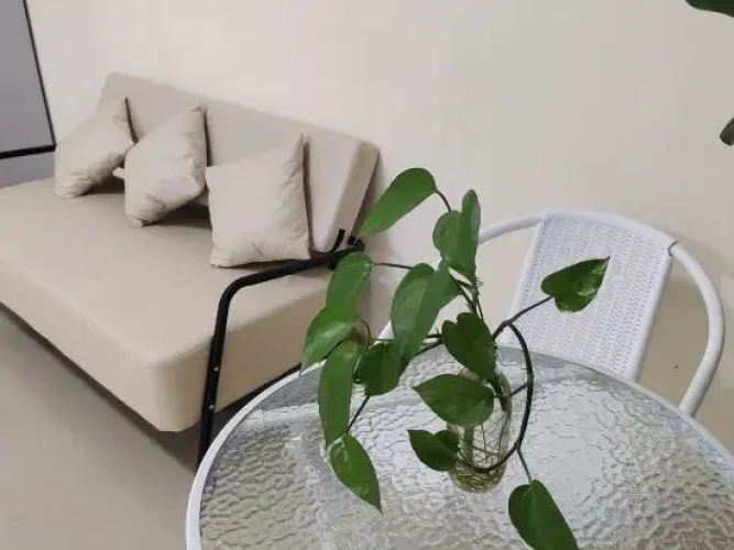 Leisure Homestay