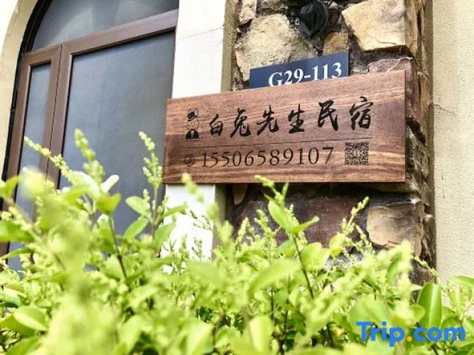 Mr. White Rabbit Guesthouse