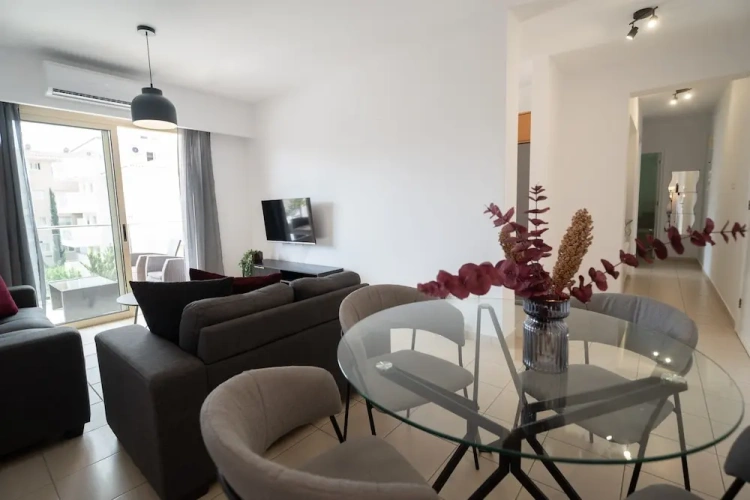 Luxury Apartment