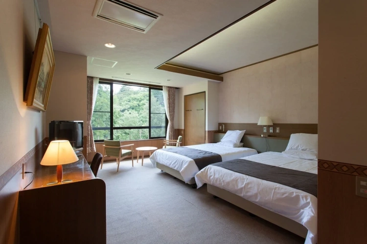 Standard Twin room with river view