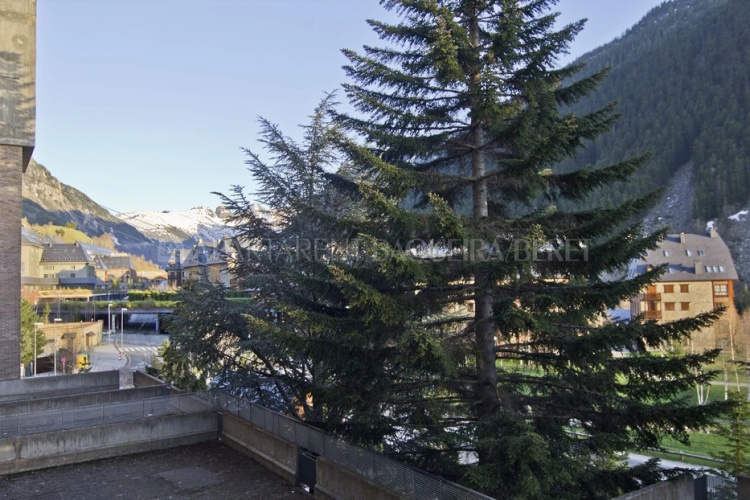 Apartamento Les Paletes