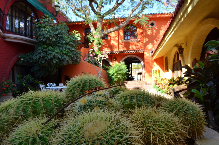 Imagen de Collection O Casa Bella Hotel Boutique, Cabo San Lucas