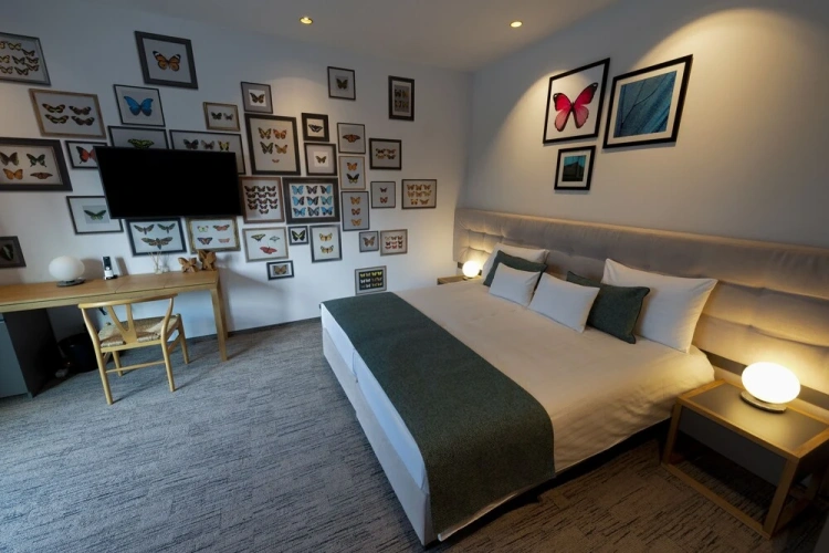 Classic Double room with park view
