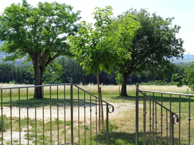Mas De La Truffiere