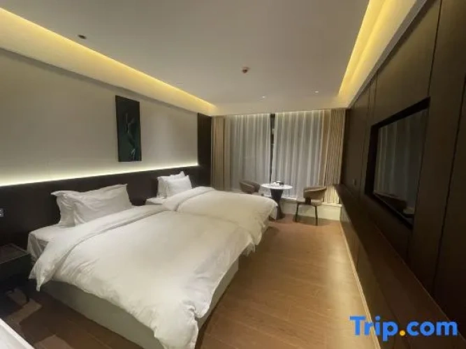 Standard Double room with city view