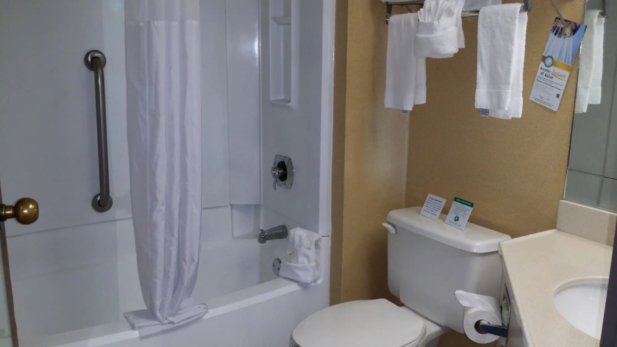 Quality Inn South Downtown photo 10